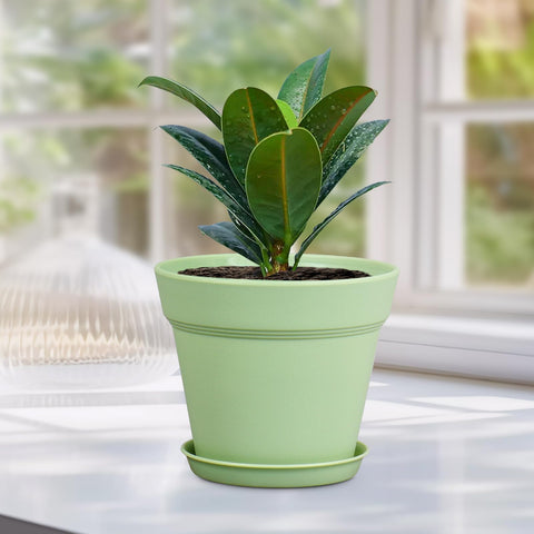 Meowell matte finish minimalist planter on a window ledge