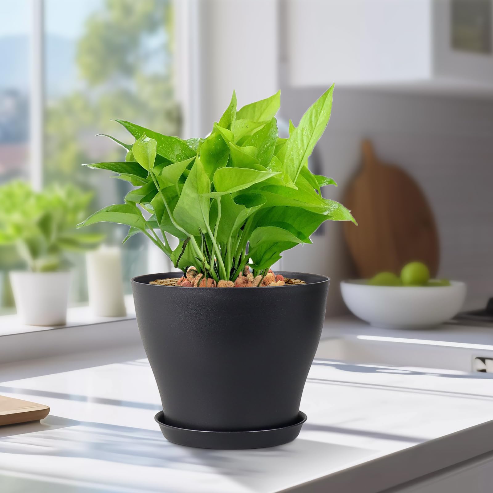 Meowell pots with matte finish add a modern touch to any windowsill.