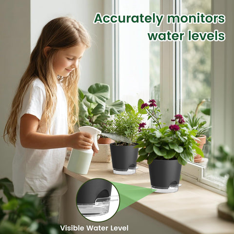 Meowell minimalist pot elevates home décor on shelves or countertops