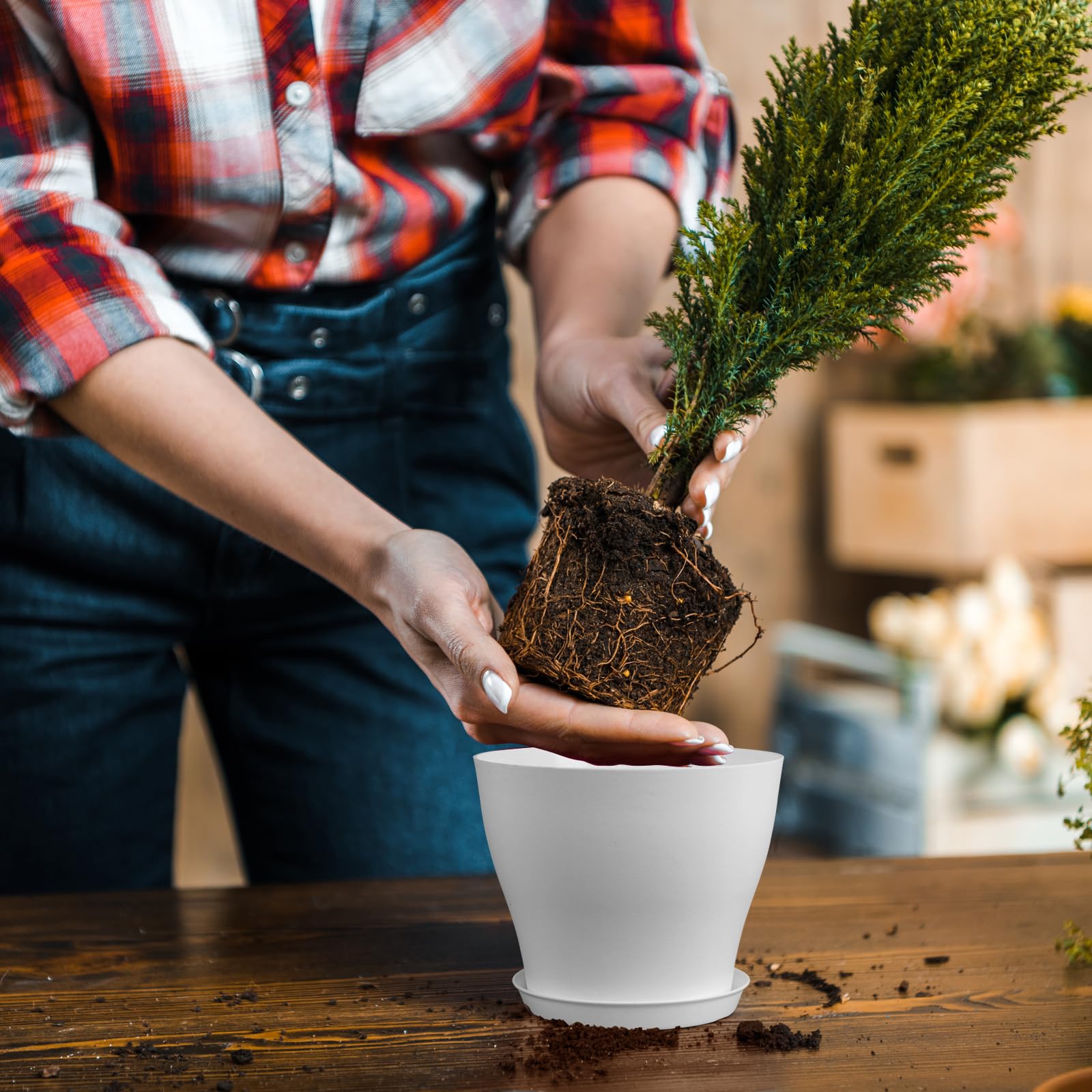Meowell minimalist matte finish planter in white for modern decor.