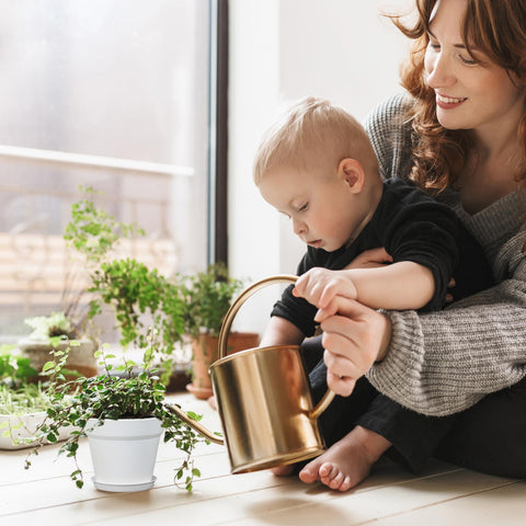 Meowell reusable nursery pot designed for multiple seasons