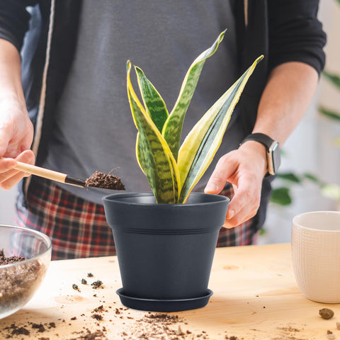 Meowell reusable nursery pot designed for multiple planting seasons.