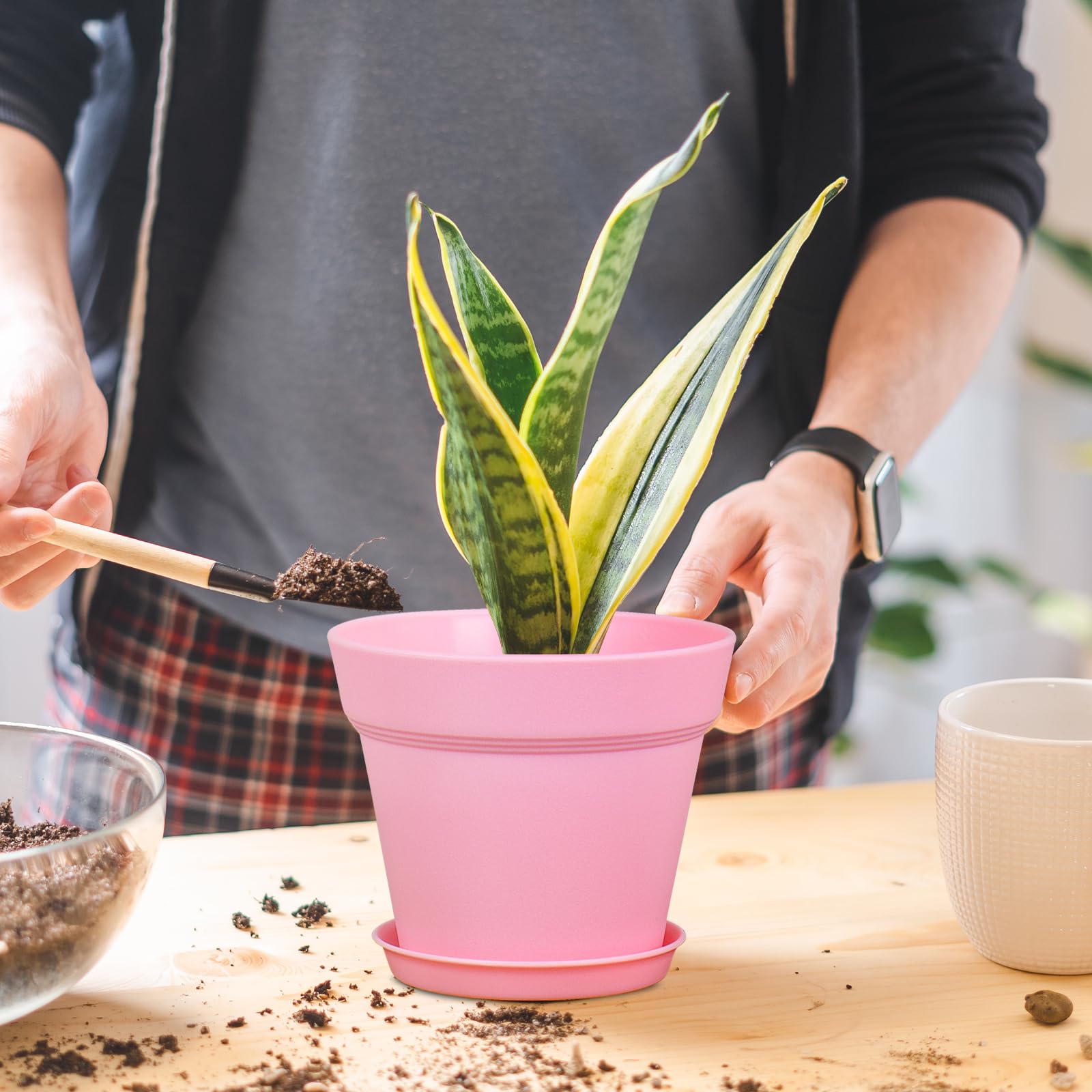 Meowell seedling starter planter perfect for DIY projects