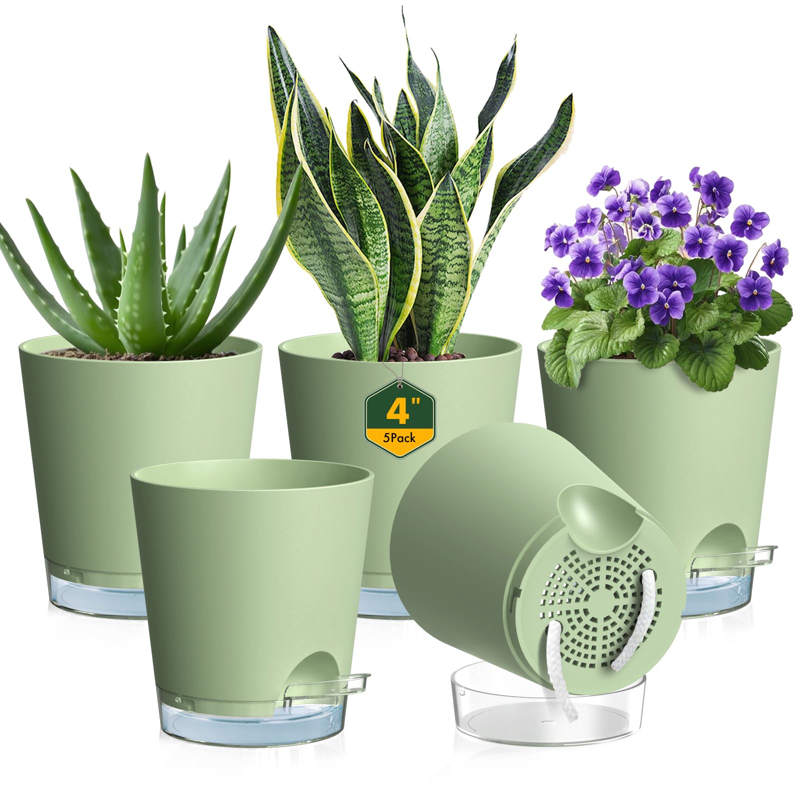 Meowell self-watering pot 4in pack setup for compact indoor displays and low-maintenance greenery.