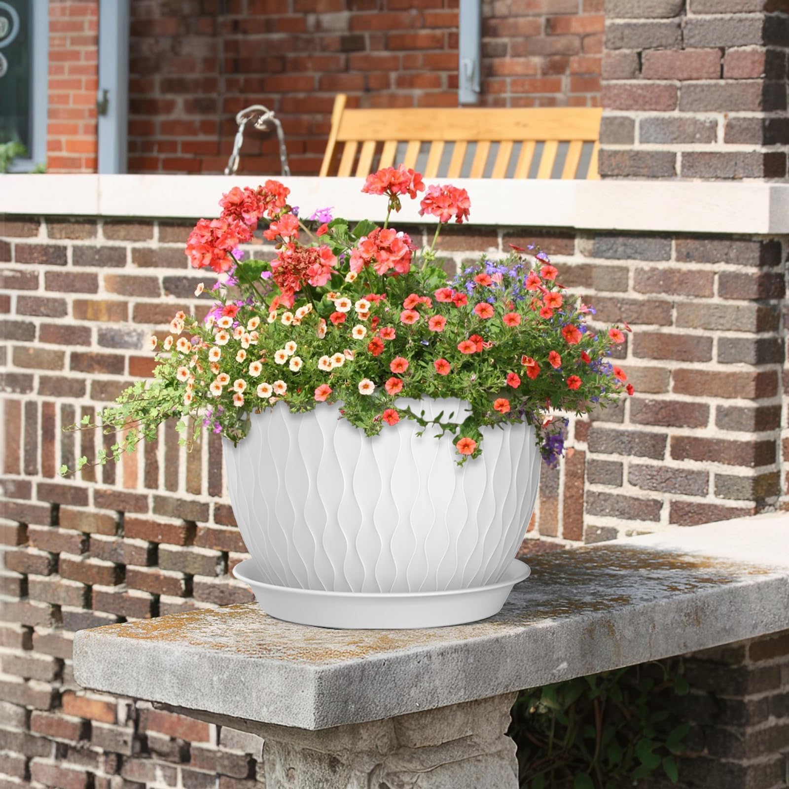 Meowell set of 3 pots offering varied sizes for mixed plant displays.