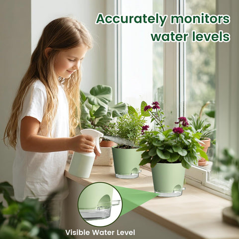 Meowell green indoor pots complement windowsills, shelves, and tabletops beautifully.