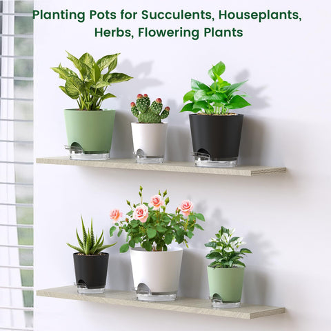 Meowell pots suitable for herbs and succulents with minimal care.