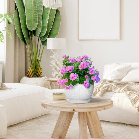 Meowell white modern design pots complement home and garden decor.