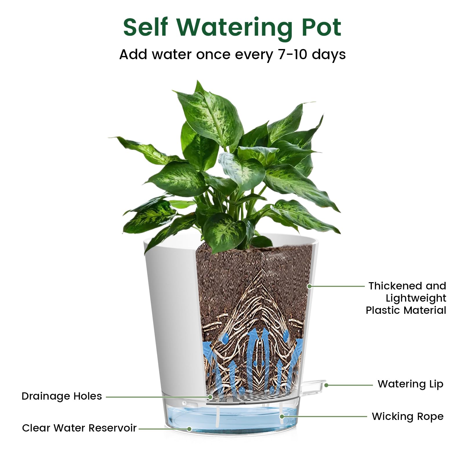 Meowell 4-inch pot demonstrates a wick-based watering system for consistent hydration.