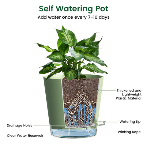 Meowell wick rope system delivers steady hydration to roots