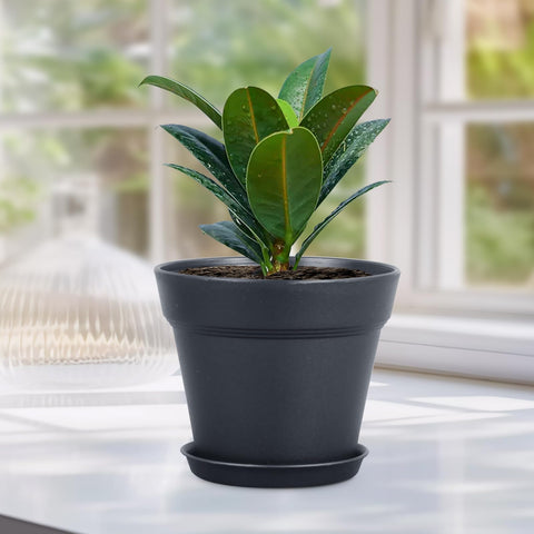 Meowell versatile indoor-outdoor pot on a windowsill display.