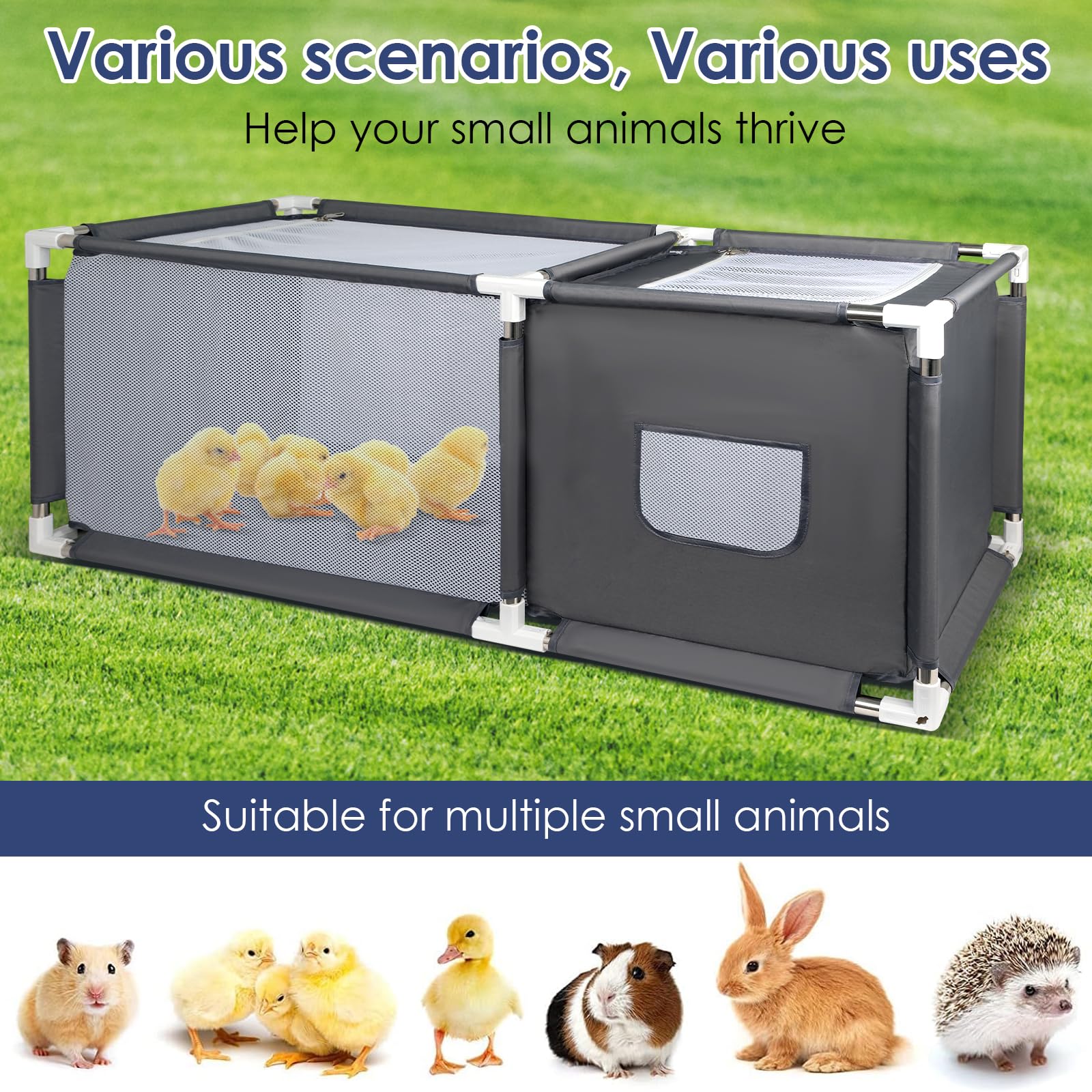 MeoWriental brooder spacious play area supporting growing animals