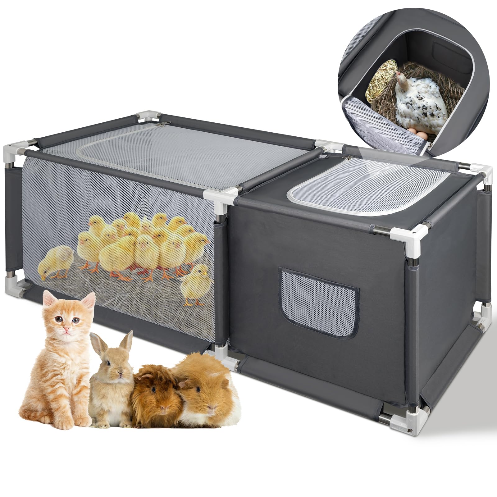 MeoWriental brooder with stainless-steel frame for durable stability with chicks