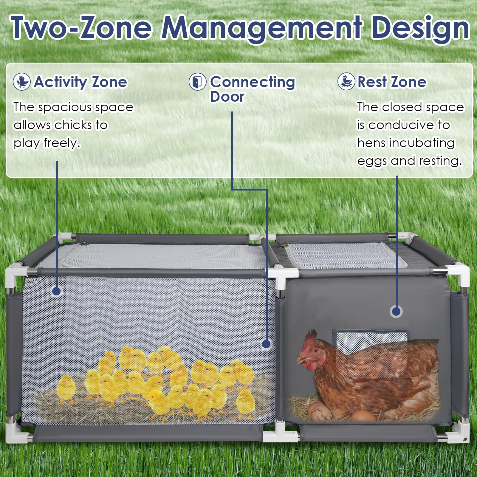 MeoWriental brooder two-zone design supports growth and separation