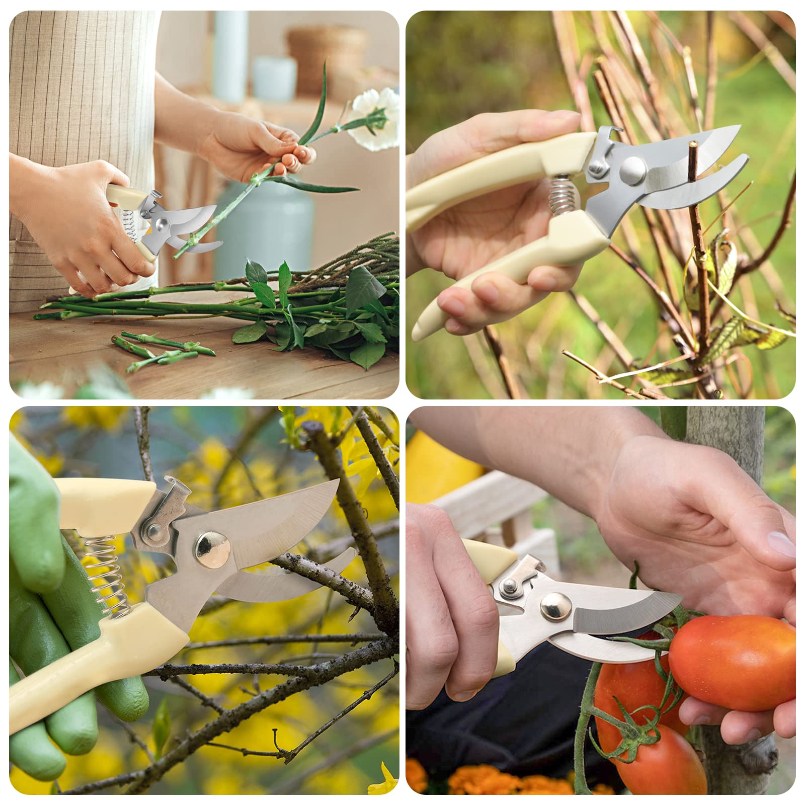 MEPEREZ gift-ready pruner set, perfect for gardeners and florists.