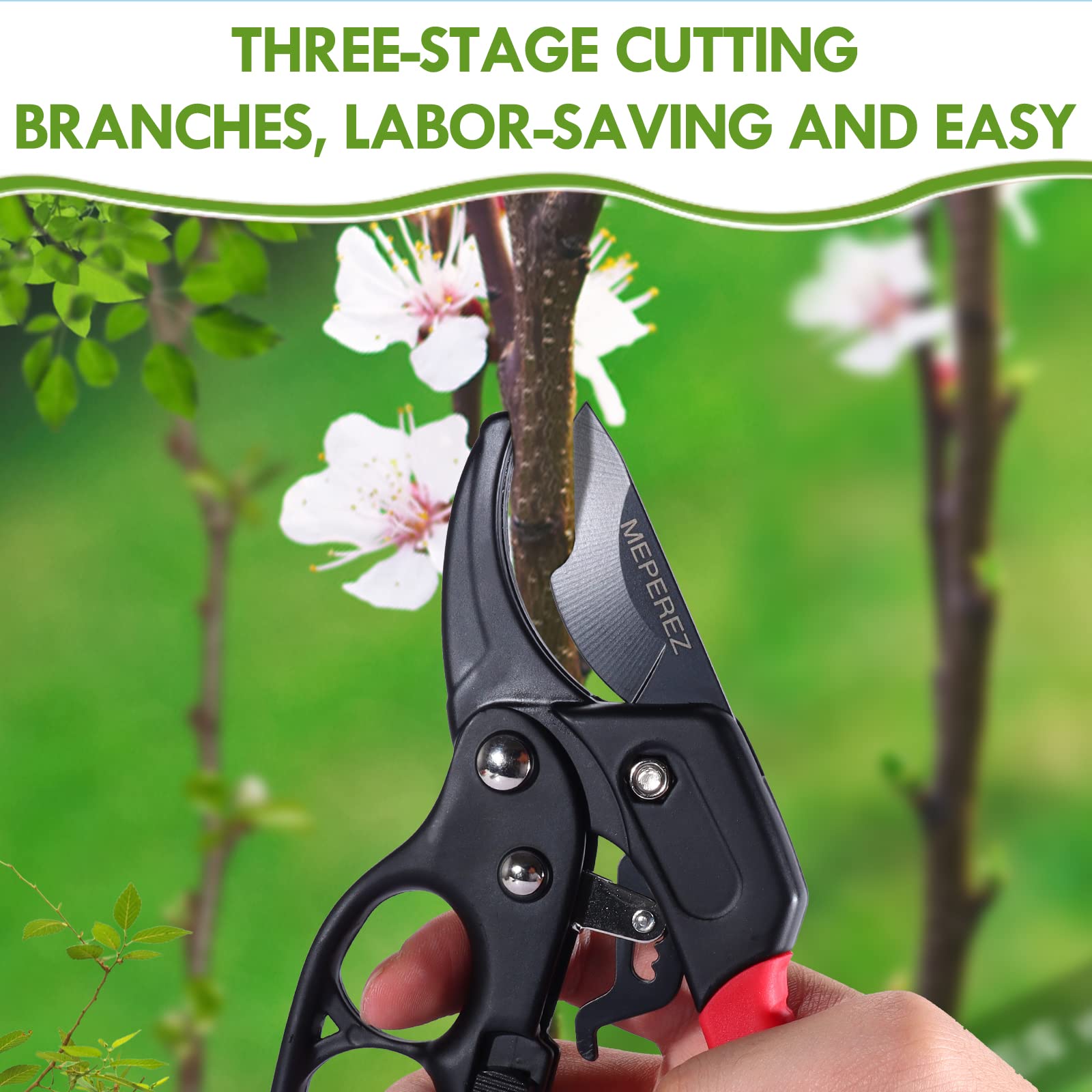 MEPEREZ pruning small branches for tidy shrubs with minimal effort.