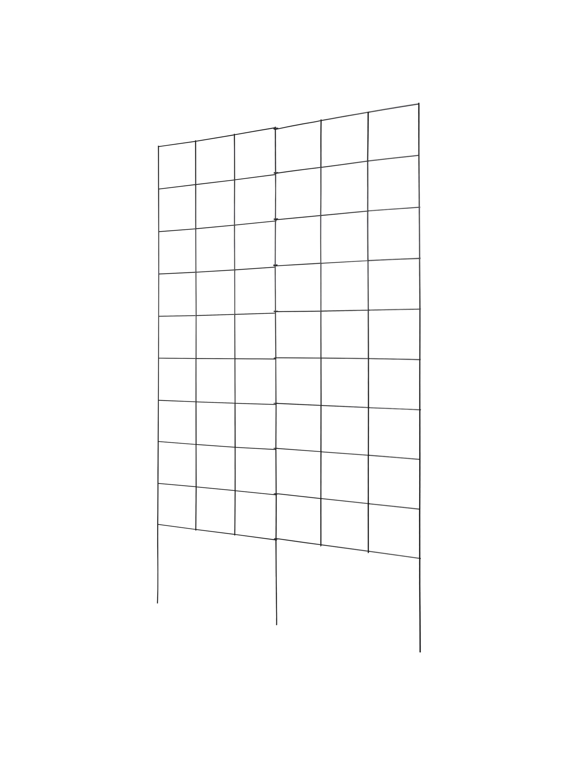 Meranti 2-Panel Folding Garden Trellis ideal for climbing plants like tomatoes.