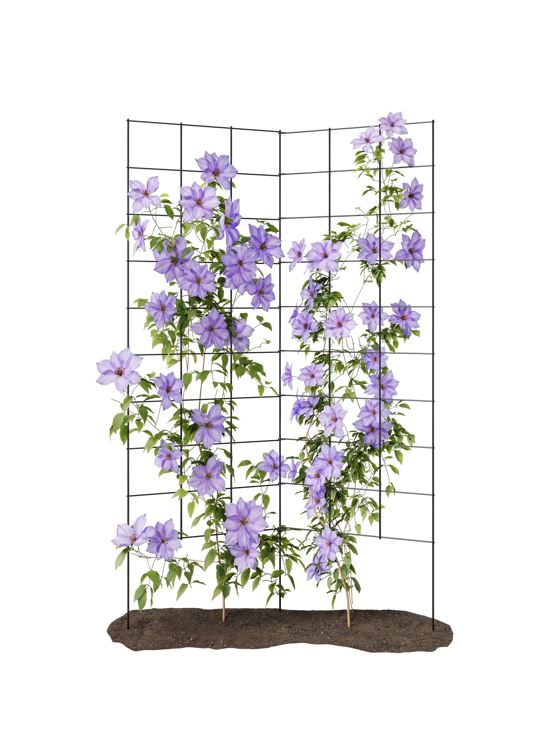 Meranti 2-Panel Folding Garden Trellis ready to use supports climbing plants instantly.