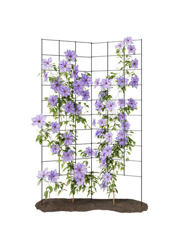 Meranti 2-Panel Folding Garden Trellis ready to use supports climbing plants instantly.