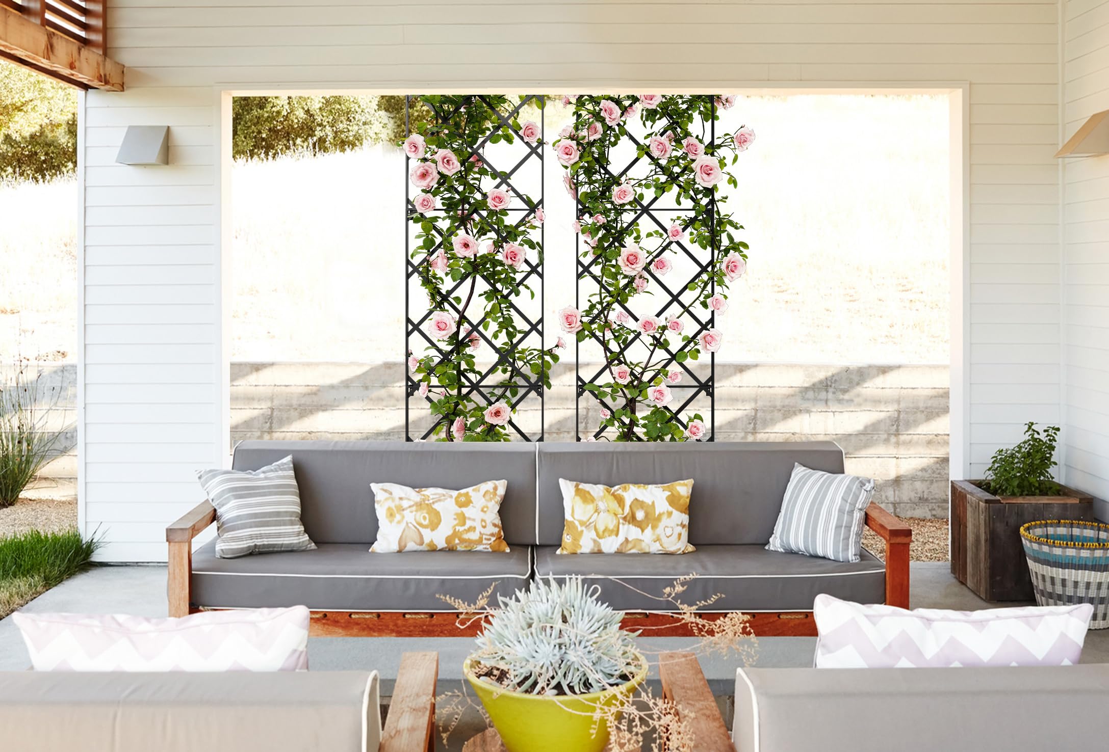 Meranti Giant Trellis 3-panel assembly shows easy setup