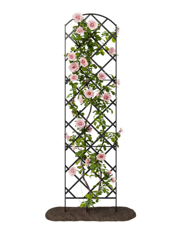 Meranti Giant Trellis front view demonstrates height for climbing plants