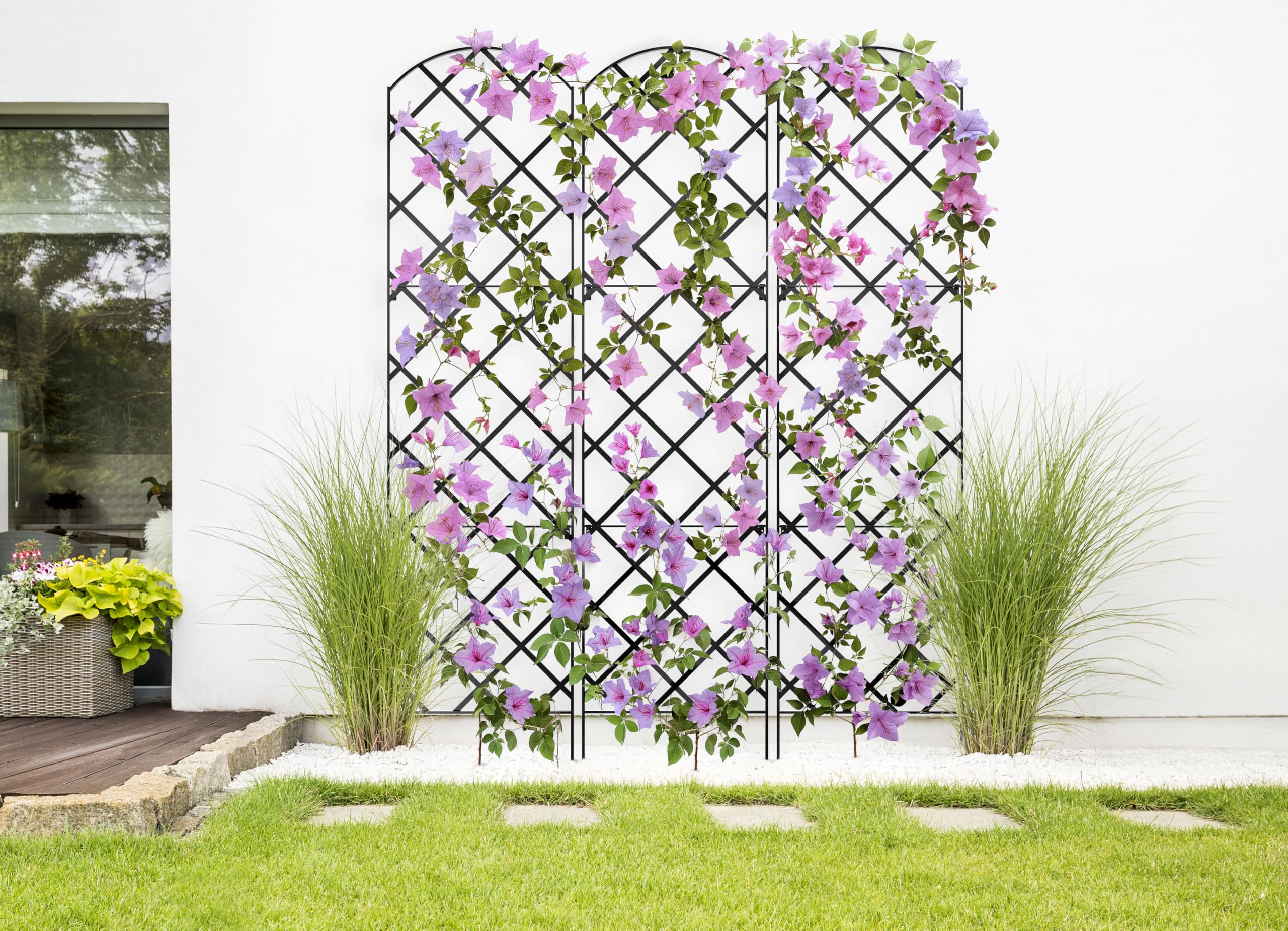 Meranti Giant Trellis brackets included for quick wall mounting