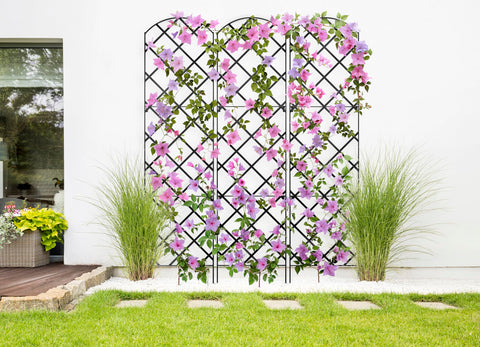Meranti Giant Trellis brackets included for quick wall mounting