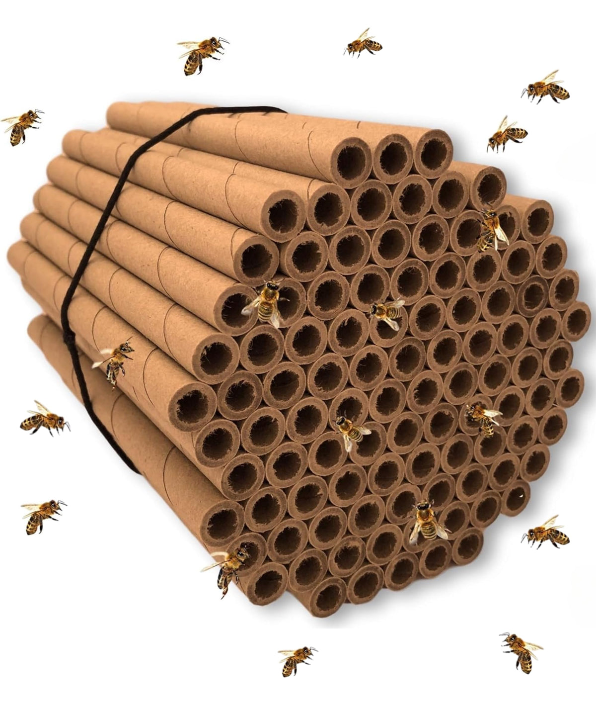Merhoff & Larkin mason bee tubes, 6 inch pack, ideal nesting for pollinators.