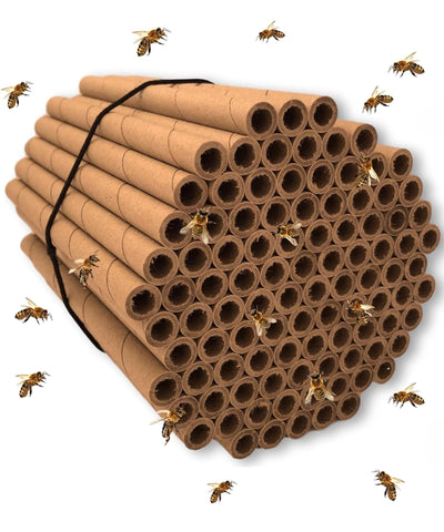 Merhoff & Larkin mason bee tubes, 6 inch pack, ideal nesting for pollinators.