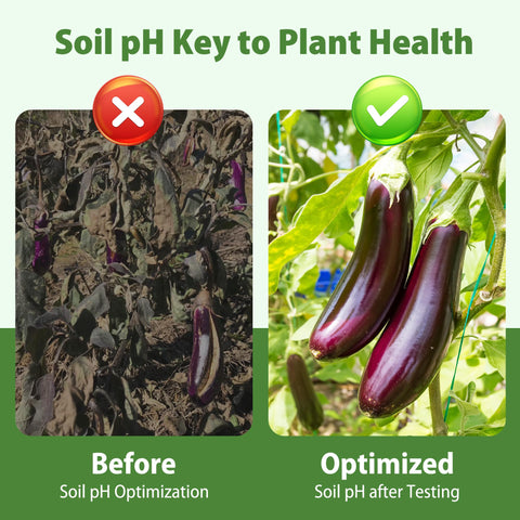 Merydi soil test kit used in home garden indoors and outdoors