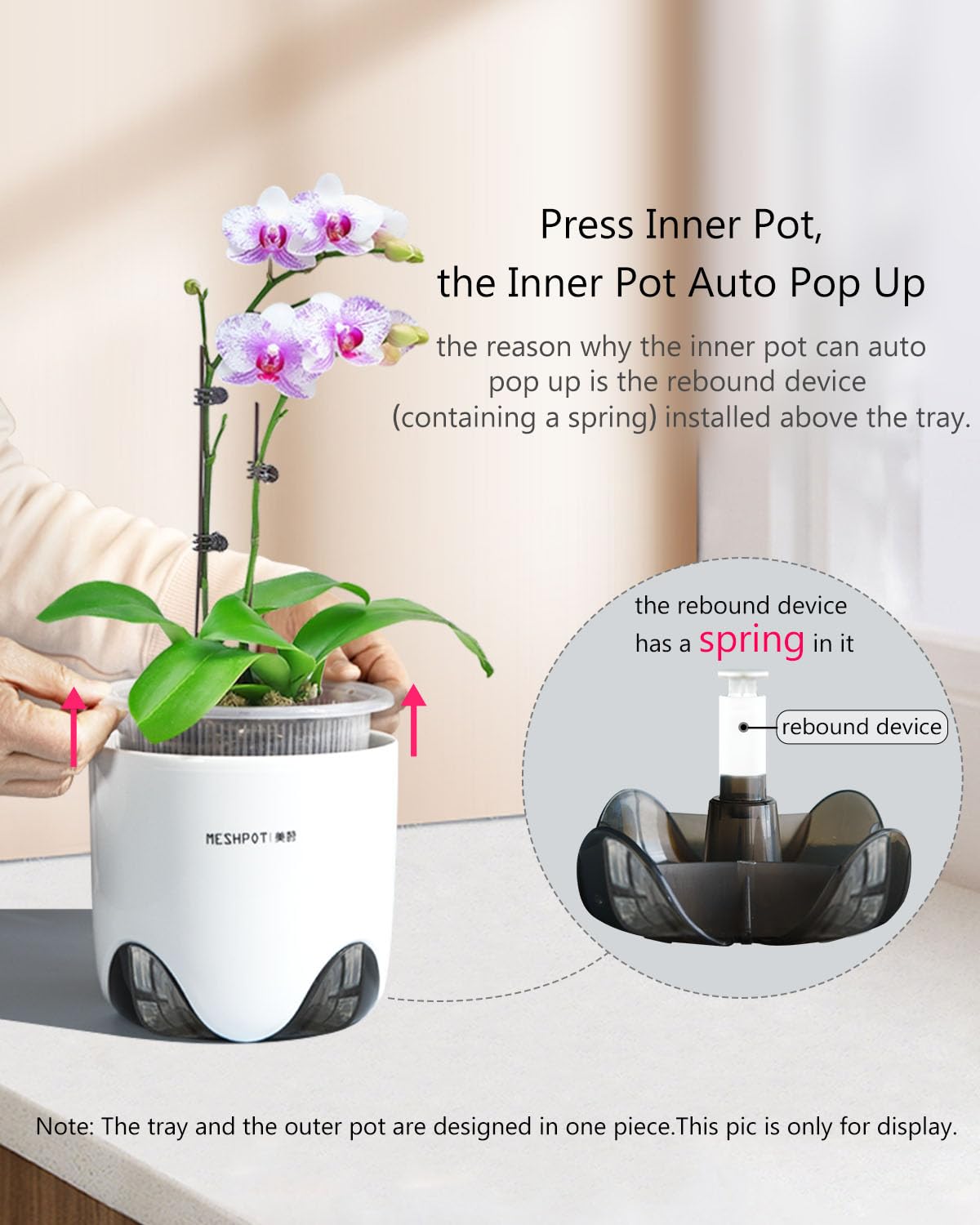 Meshpot 360-degree ventilation holes, promoting root growth while preventing rot.