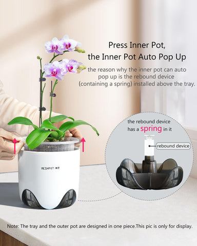Meshpot 360-degree ventilation holes, promoting root growth while preventing rot.