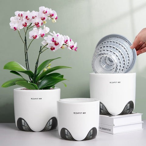 Meshpot 4-Inch Orchid Pot with Holes, clear design for visible root health.