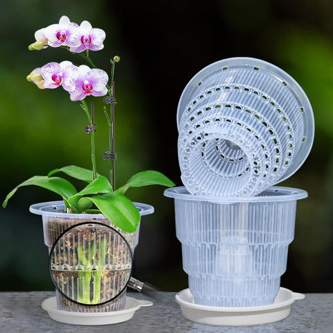 Meshpot 4-inch clear orchid pot with holes and saucer for healthy root airflow.