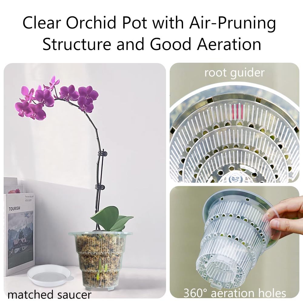 Meshpot clear orchid pot highlighting holes and saucer for drainage and stability.