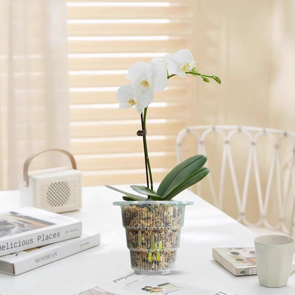 Meshpot 4-inch clear pot with saucer supports easy repotting.