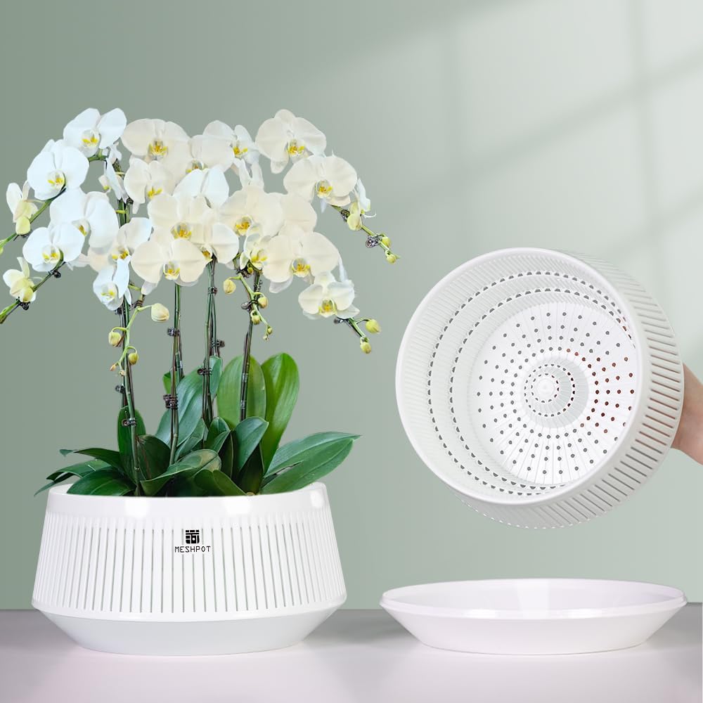 Meshpot 8-inch orchid pot with holes enhances airflow for healthier roots.