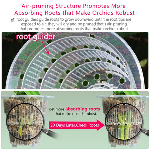 Meshpot air-column design promotes healthy root exposure and aeration.