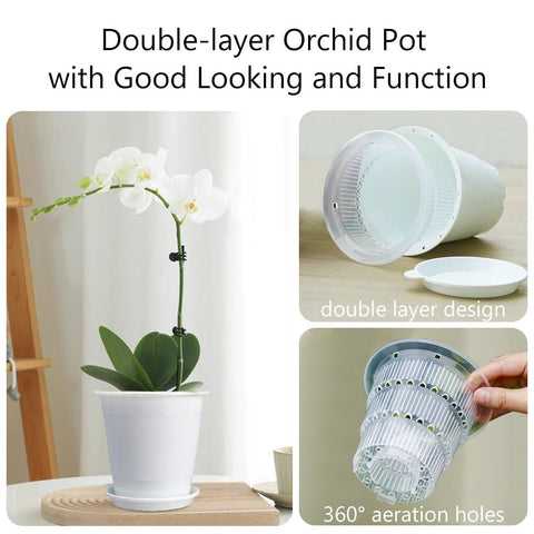 Meshpot air cone design increases central root ventilation