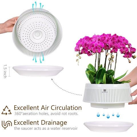 Meshpot air-pruning design guides roots for stronger growth and better drainage.