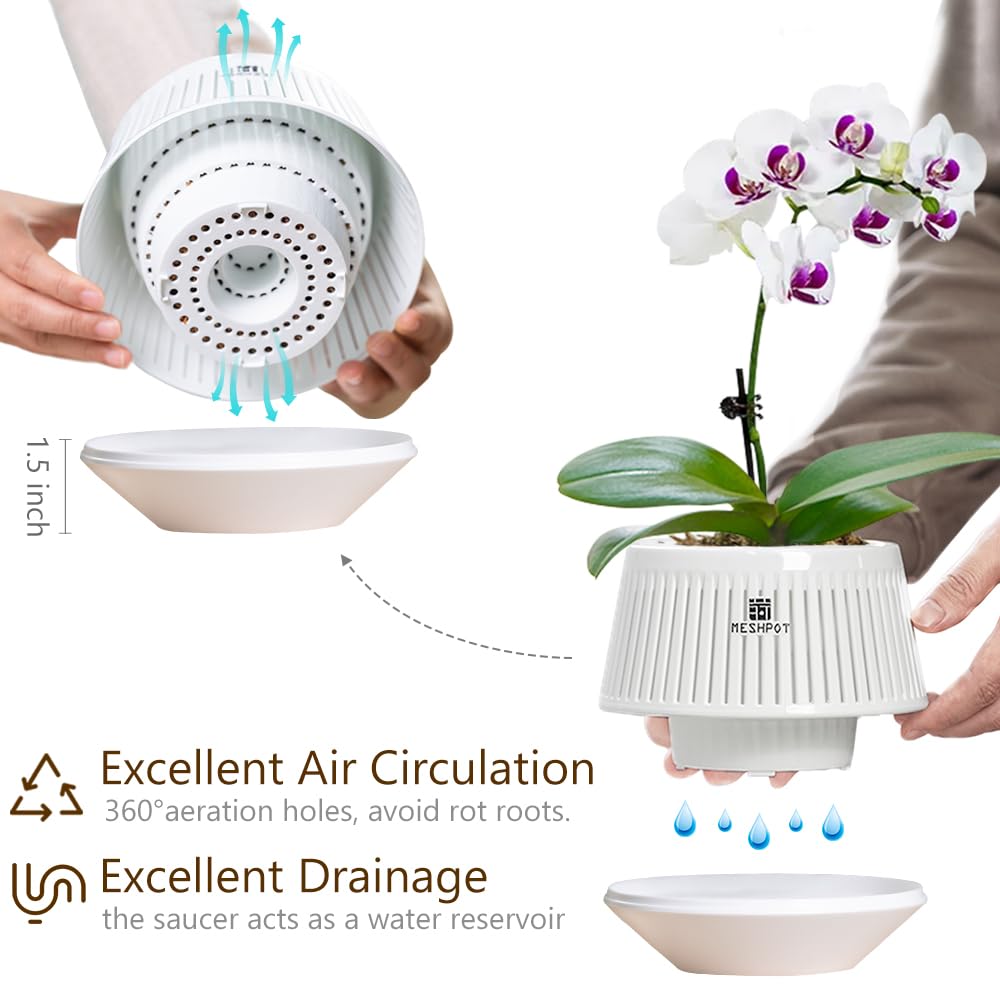 Meshpot air-pruning design promotes stronger roots by drying exposed sections