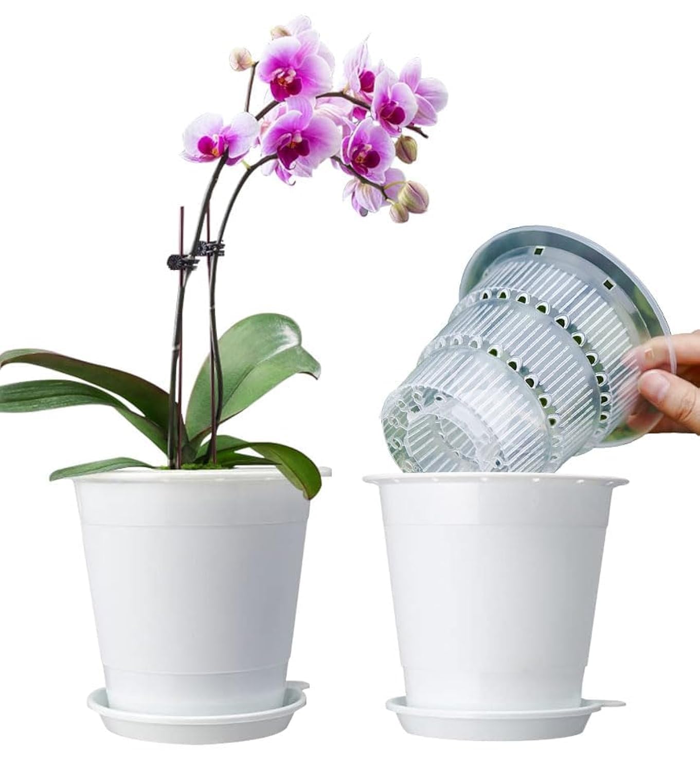 Meshpot clear orchid pot 4 inch with holes for visible root growth