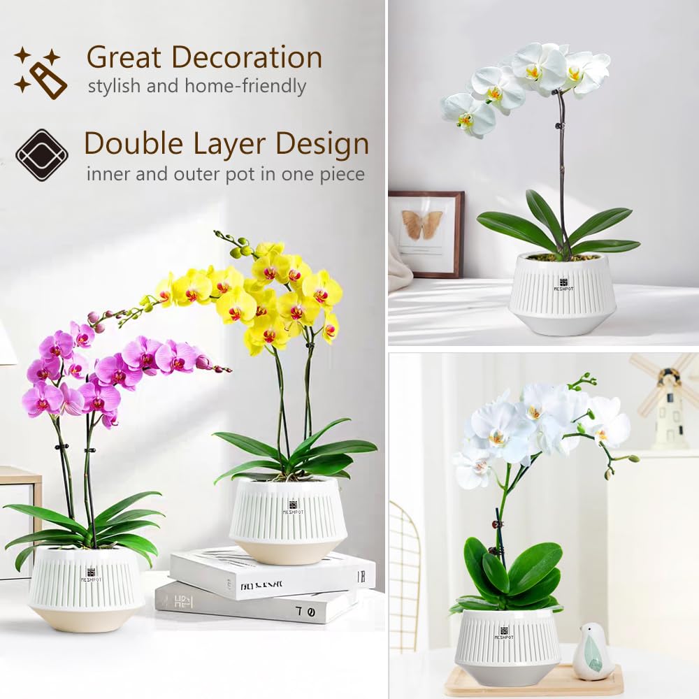 Meshpot pots suit dendrobiums and phalaenopsis varieties as well as common plants