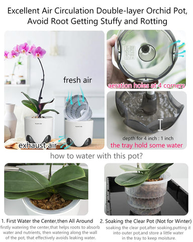 Meshpot double-layer orchid pot cross-section highlights air circulation for healthier roots.