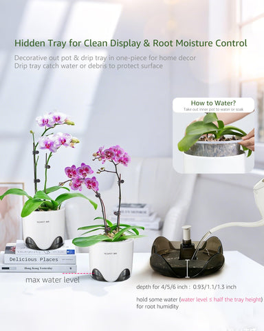 Meshpot orchid pot 5-inch outer layer with drainage holes.