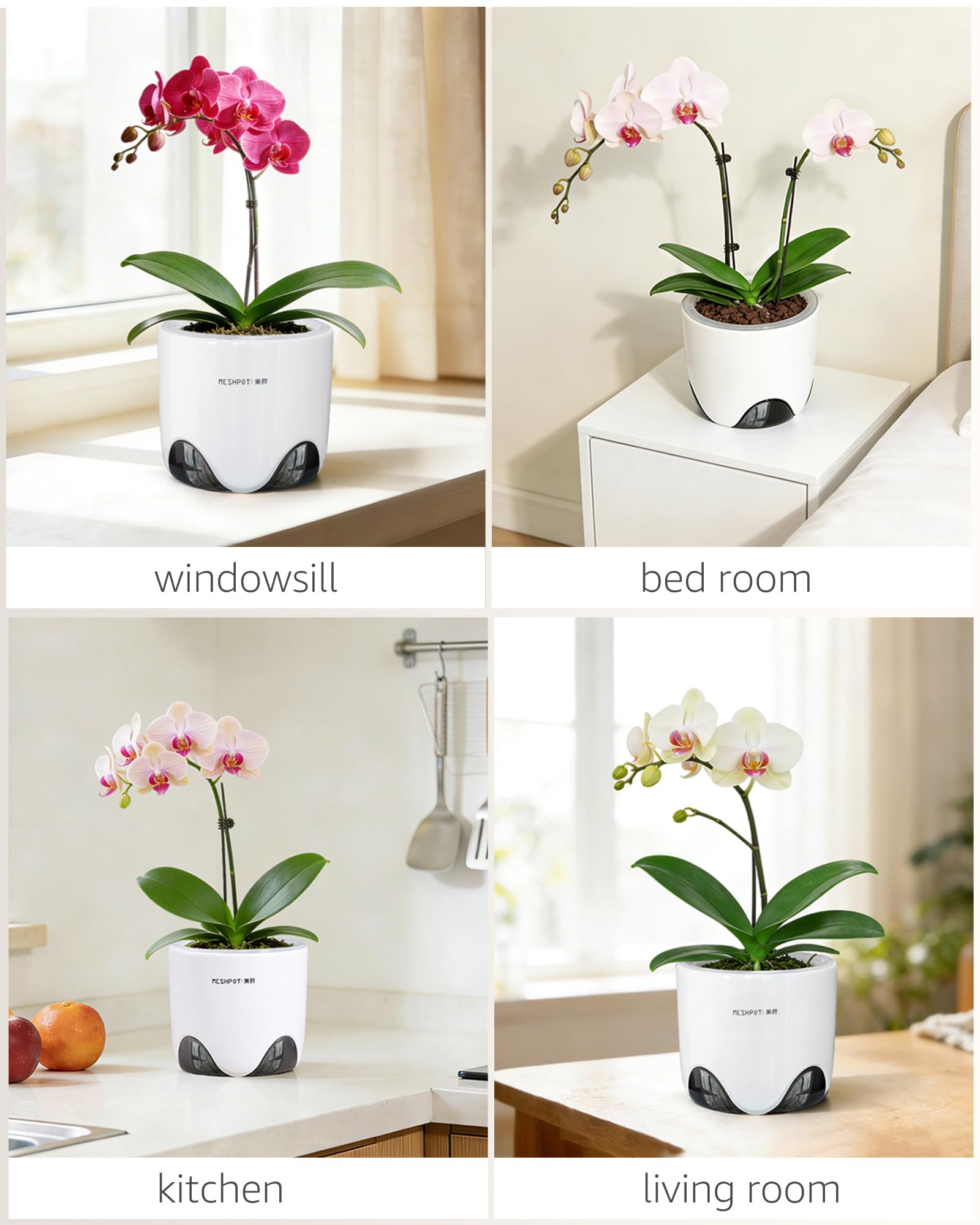 Meshpot orchid pot with drainage holes for reliable water drainage.