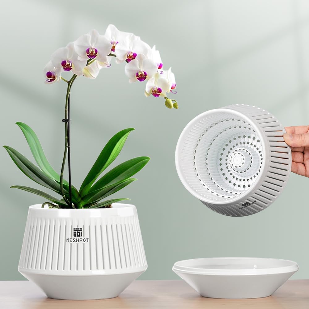 Meshpot orchid pot with dual outer-inner layers for stable root guidance and decorative appeal