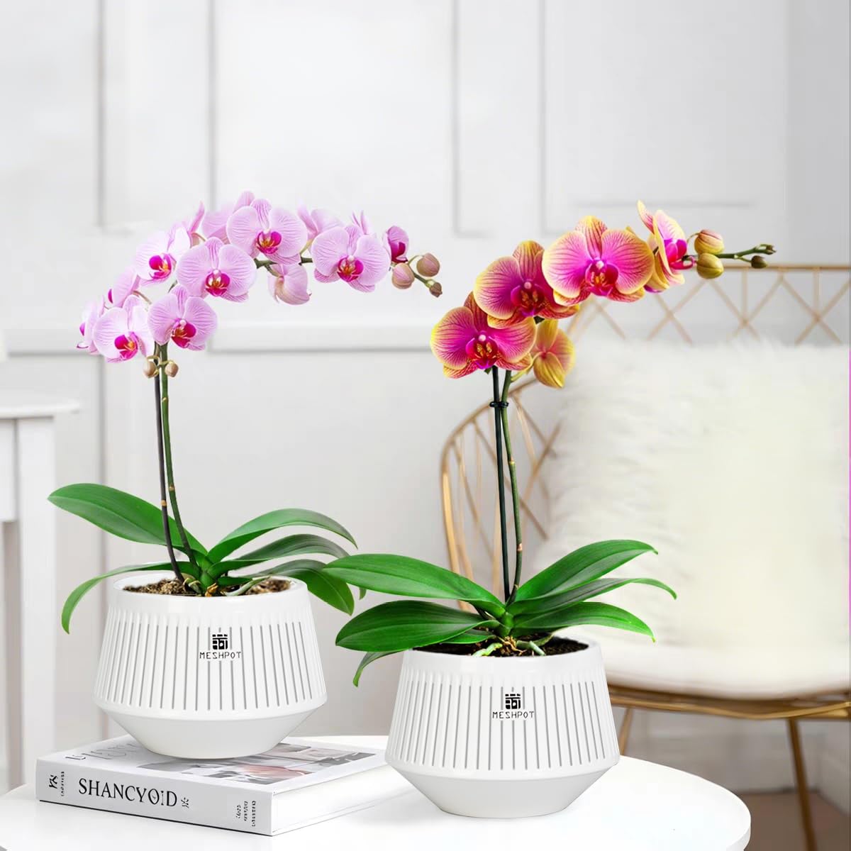 Meshpot includes a matching saucer for neat indoor display