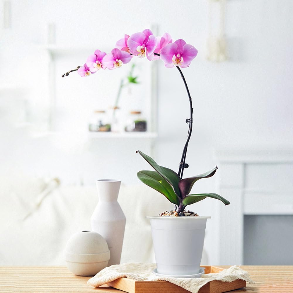Meshpot set includes two 4-inch pots with matching saucers