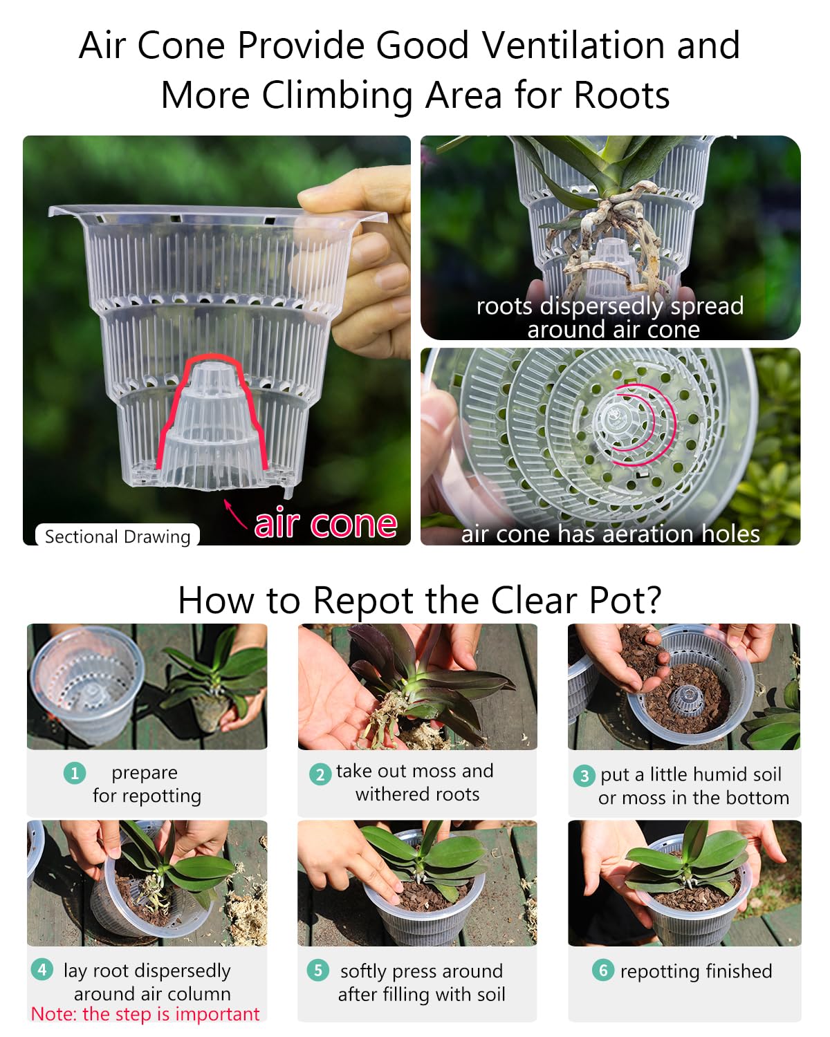Meshpot set of 2 pots suits indoor and outdoor orchid displays.